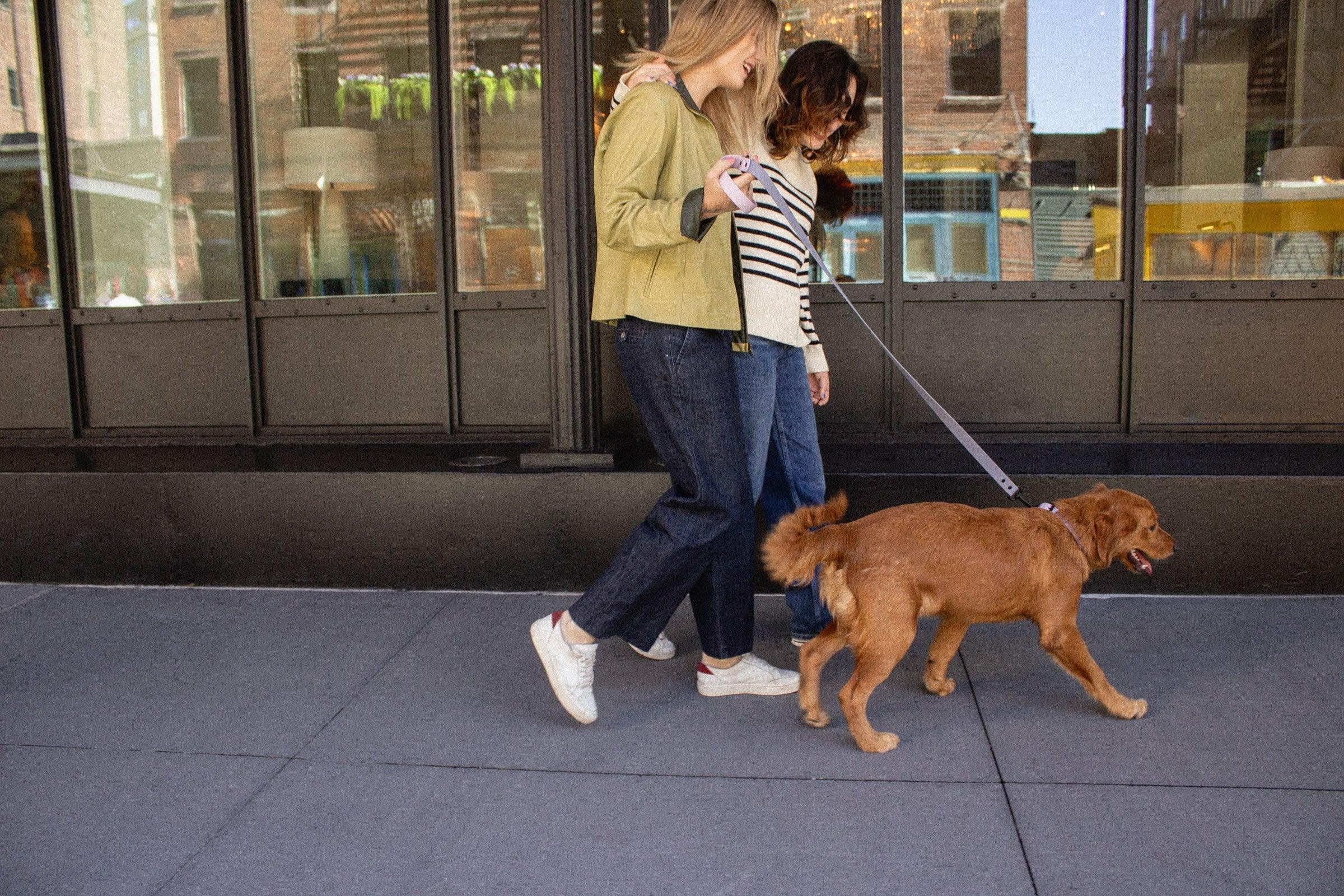 biothane leash for dogs