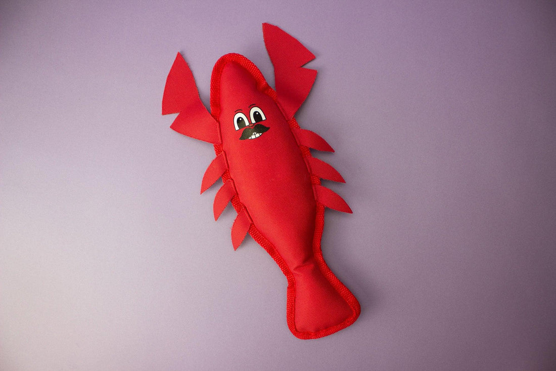 squeaky dog toys
