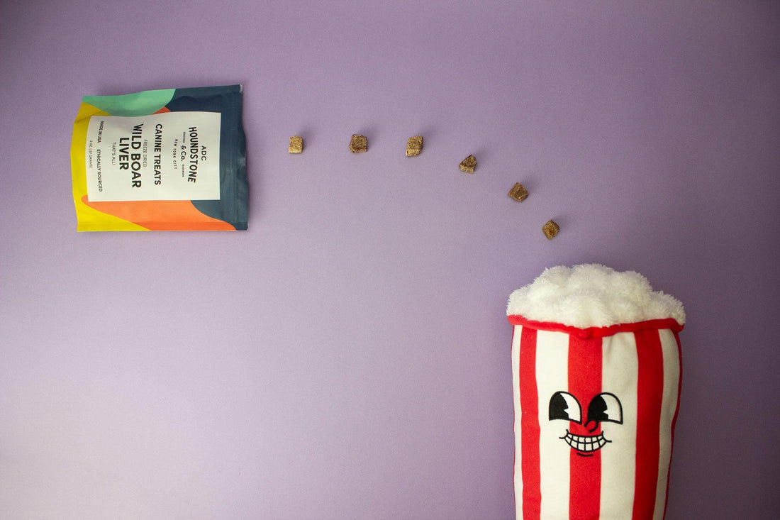 nose work toys for dogs