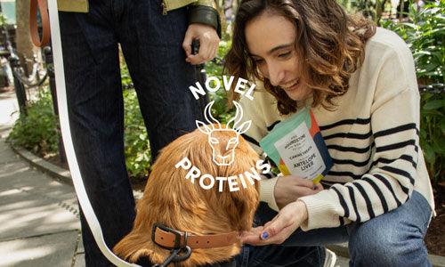 freeze dried liver dog treats