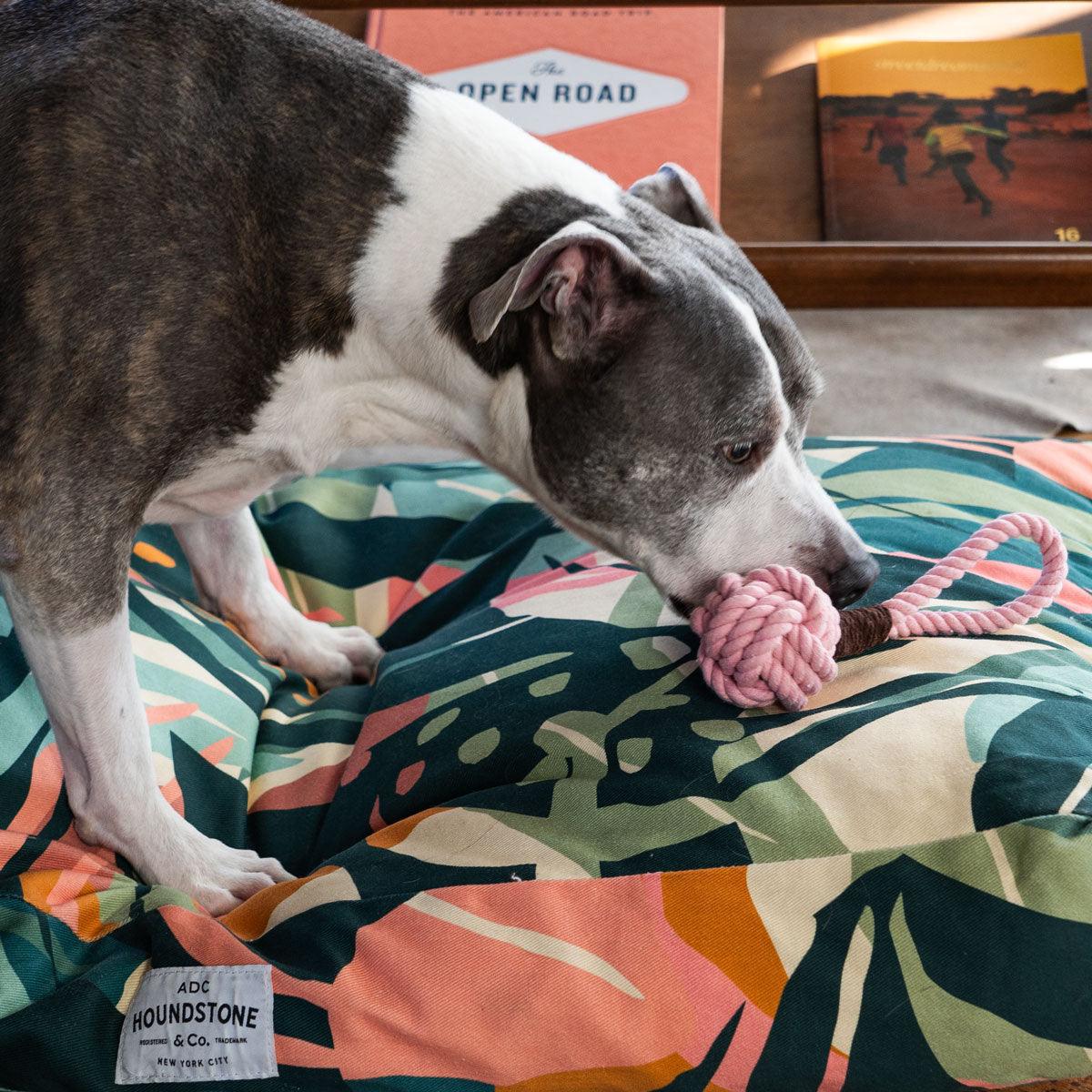 how to wash dog toys