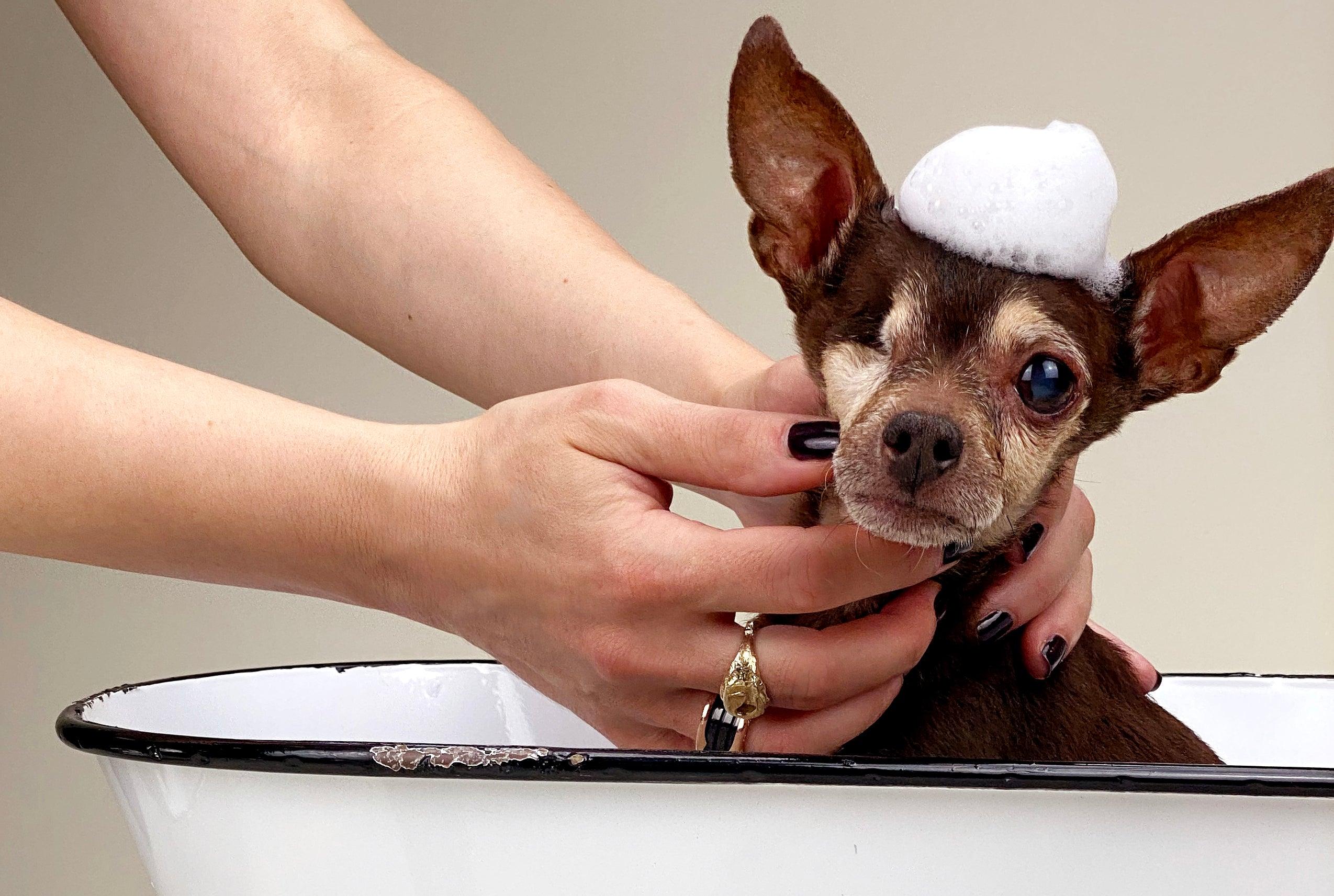 hypoallergenic dog shampoo