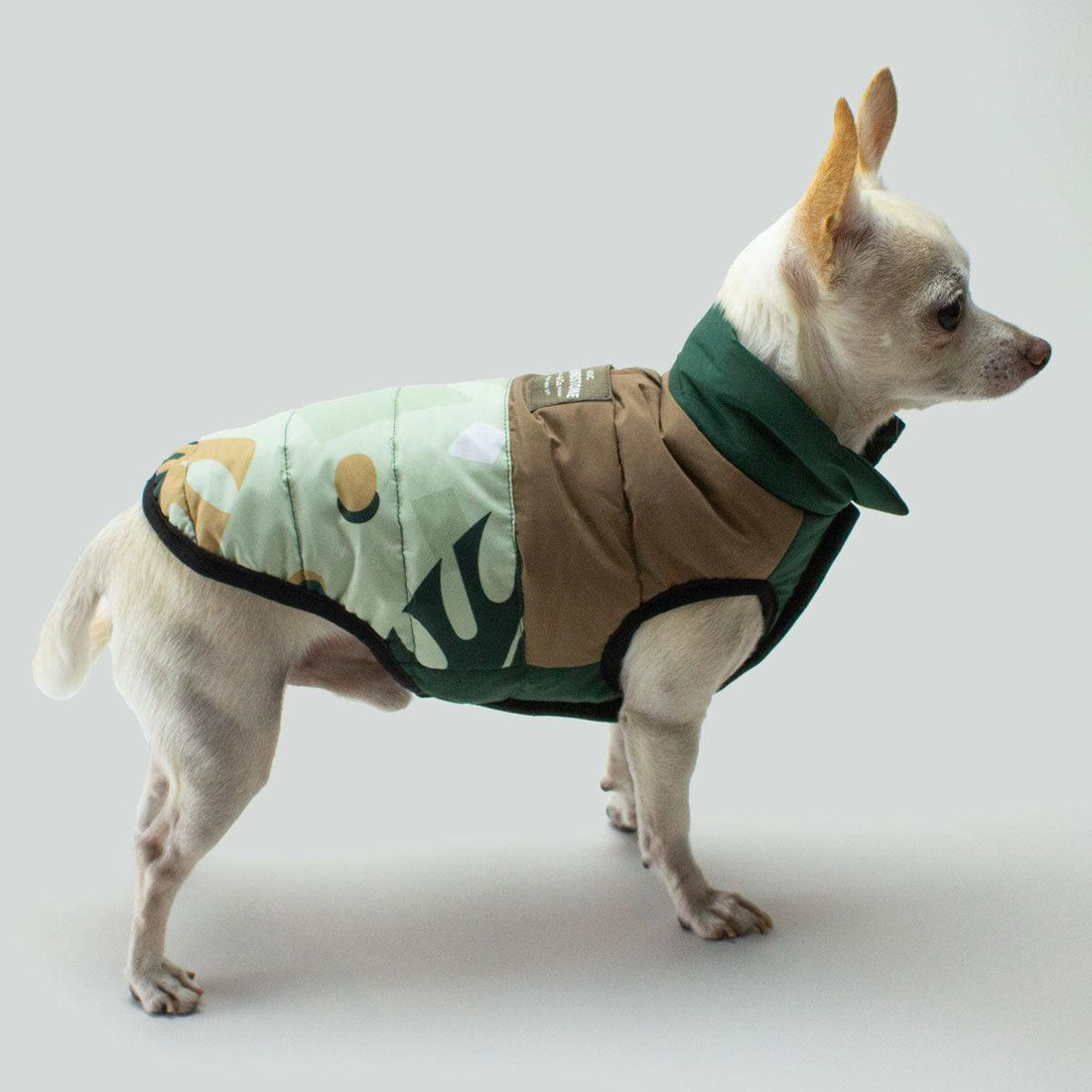 fancy dog apparel