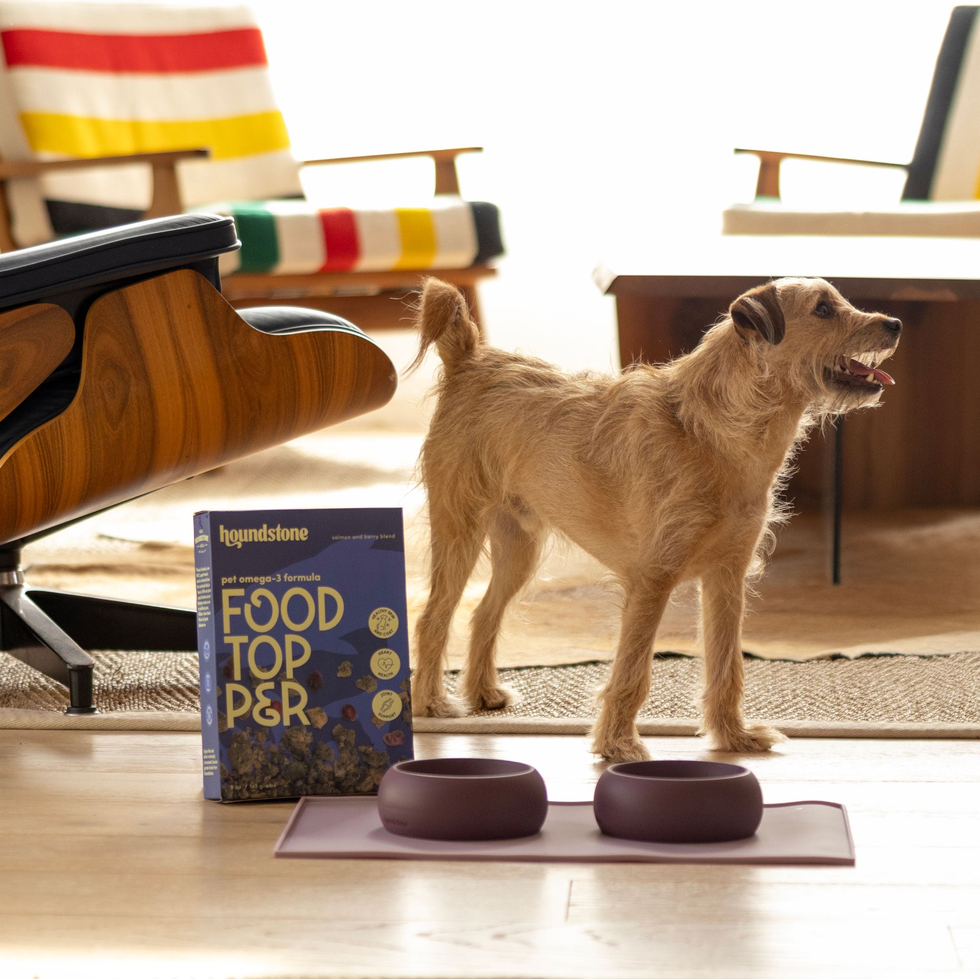 The Coquito Silicone Dog Bowl, 1 Cup, Rosewood