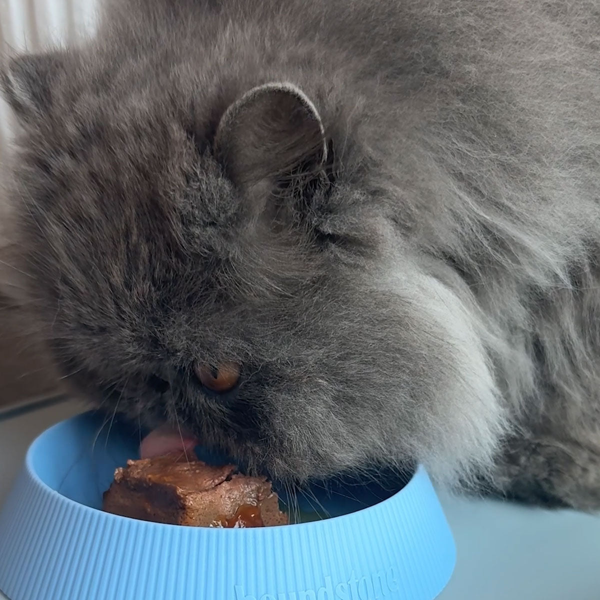 Food Grade Silicone Cat Bowl, Dishwasher Safe, Charcoal