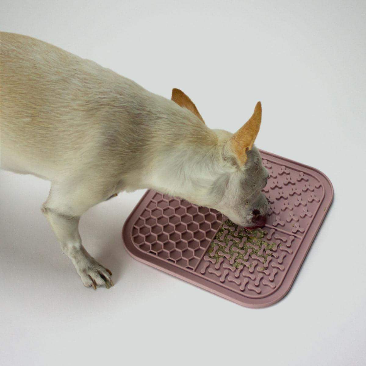 Dog lick mat