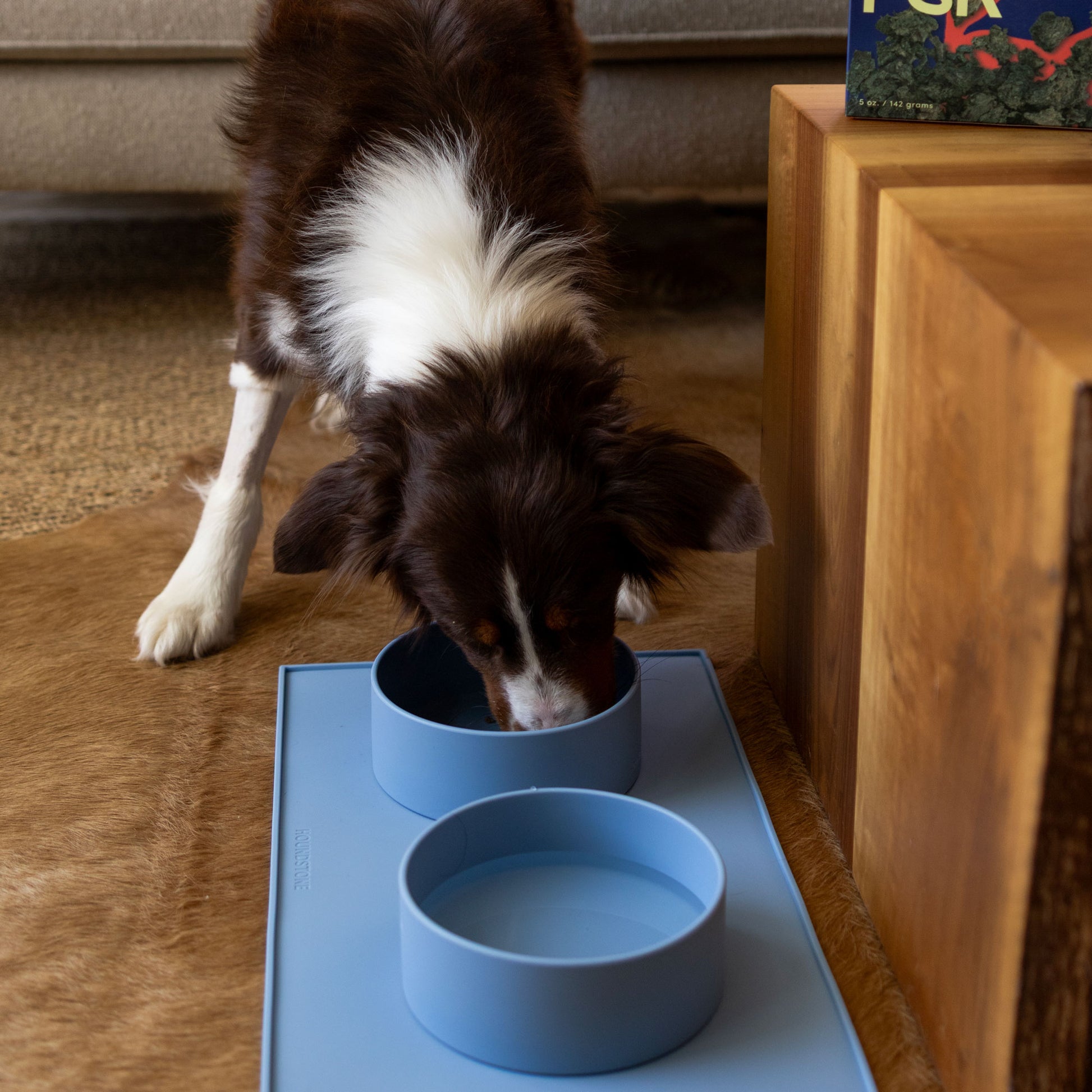 dog drinking from houndstone silicone dog food bowl in blue on a dog bowl mat