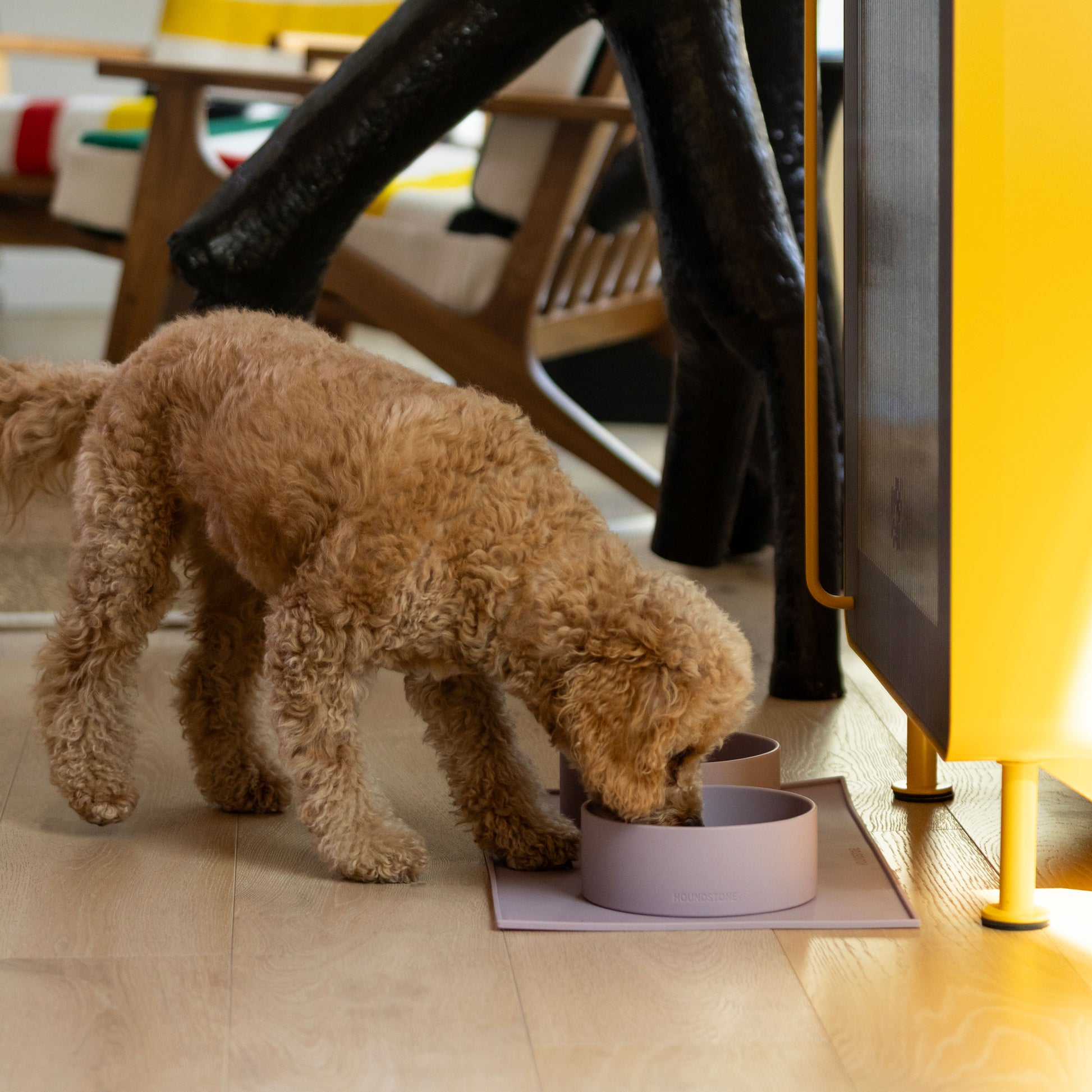 houndstone pony silicone dog bowl in mauve with cute dog drinking out of the dog water bowl that is placed on a dog food mat