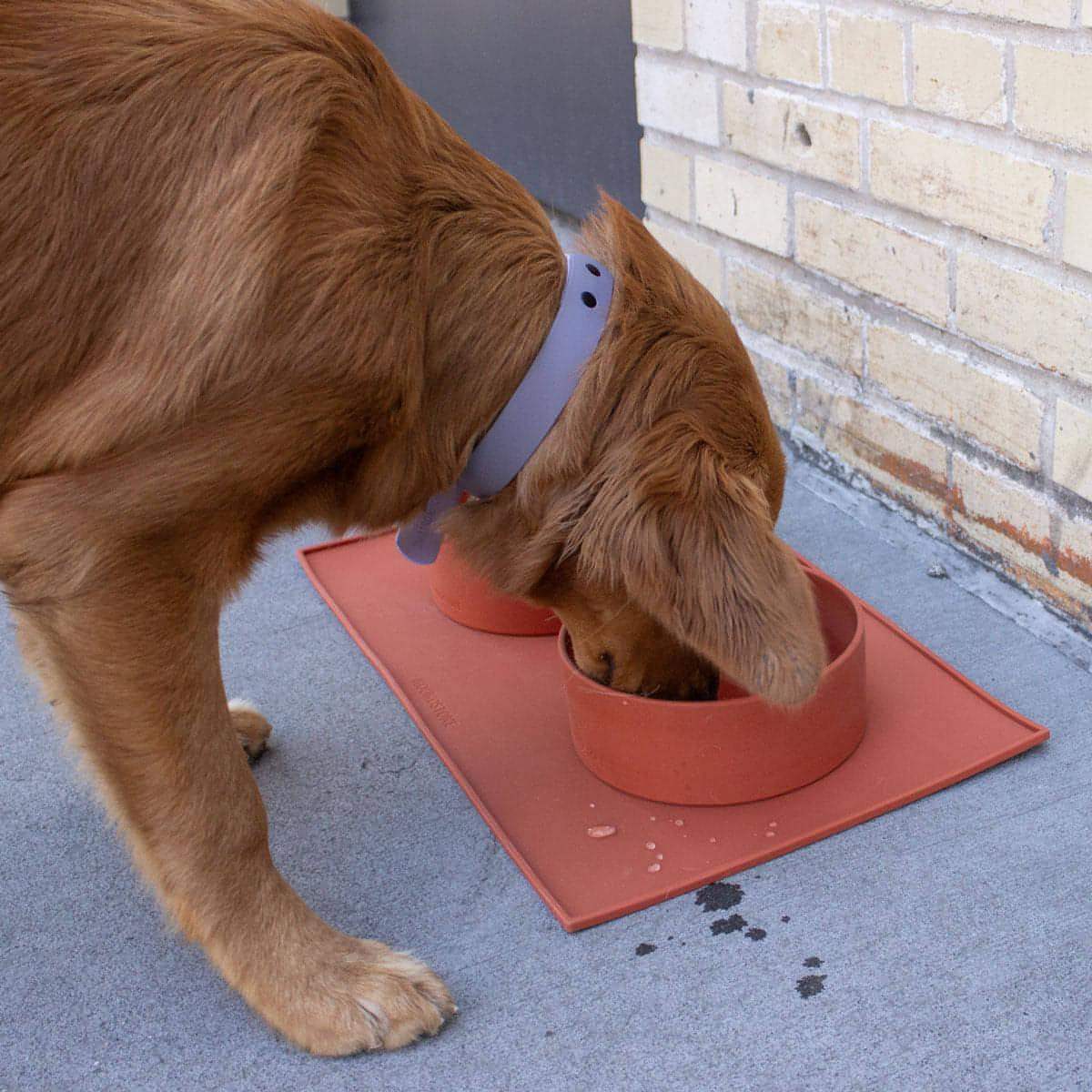 Houndstone silicone pet food mat  and bowls in terracotta