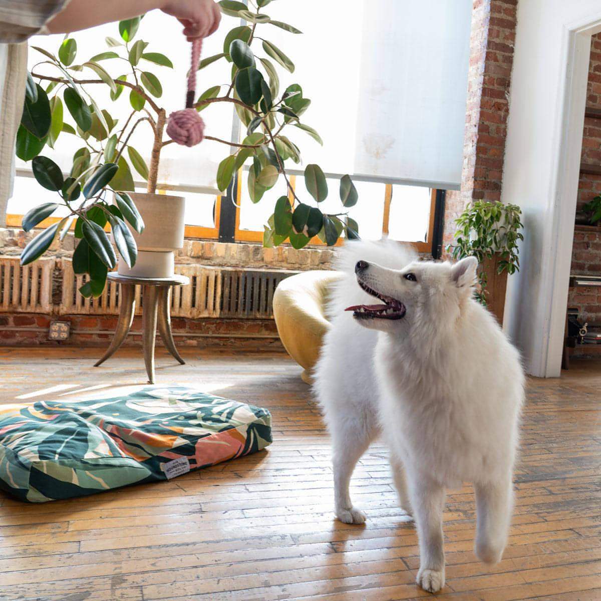 Large Durable Rope Dog Toy - Grey - Cotton Rope with Handle for Interactive Play and Exercise