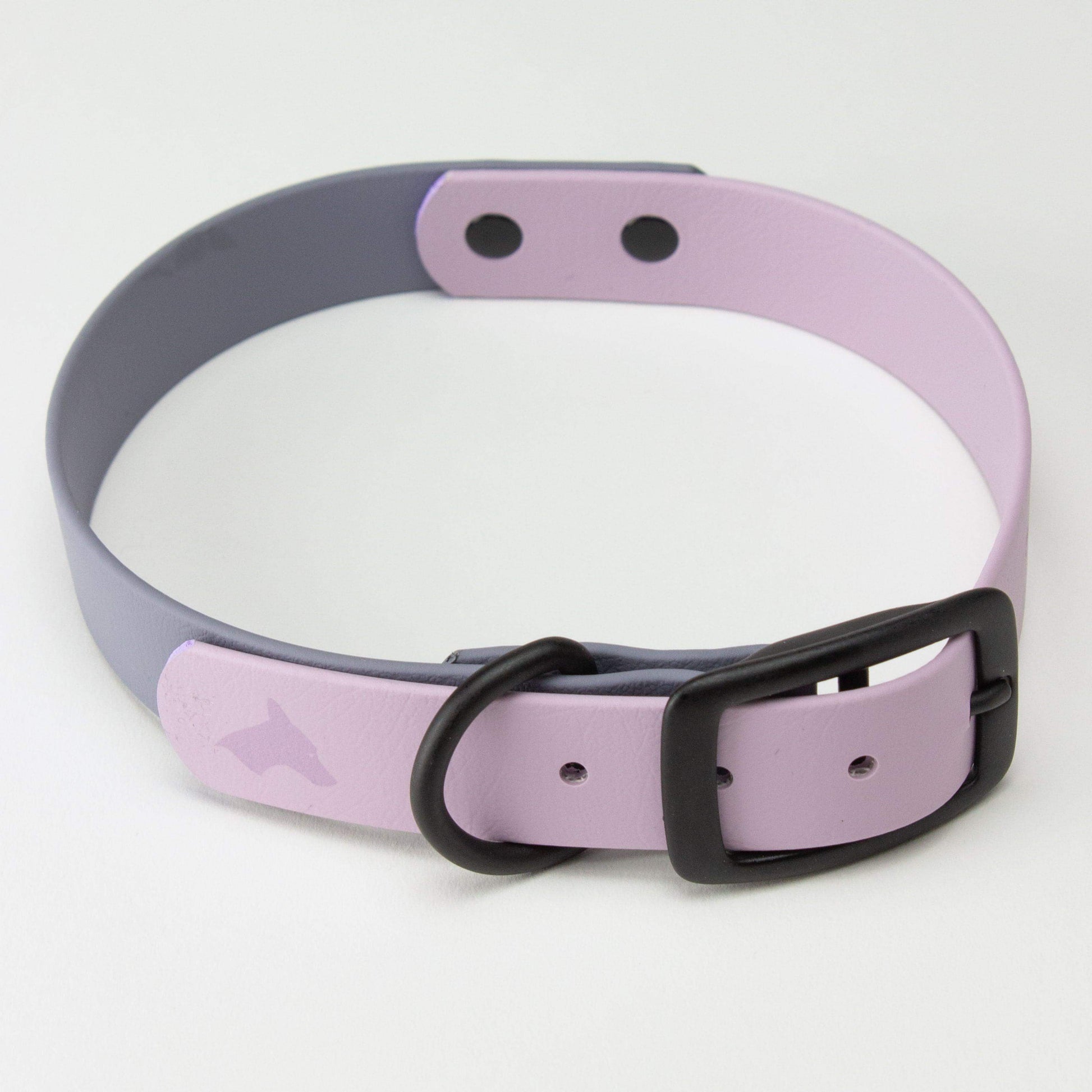 houndstone gray and violet dog collar