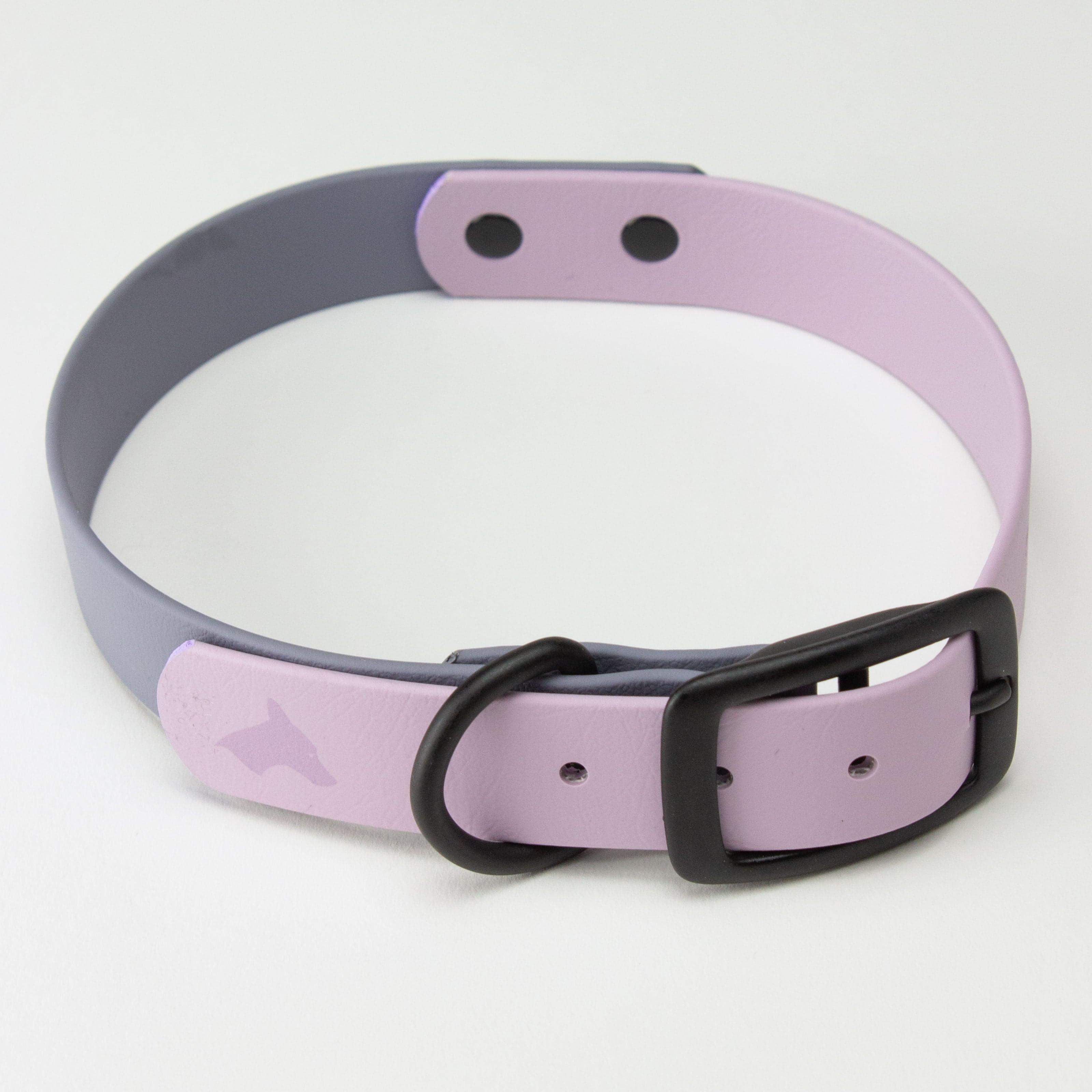 houndstone gray and violet dog collar