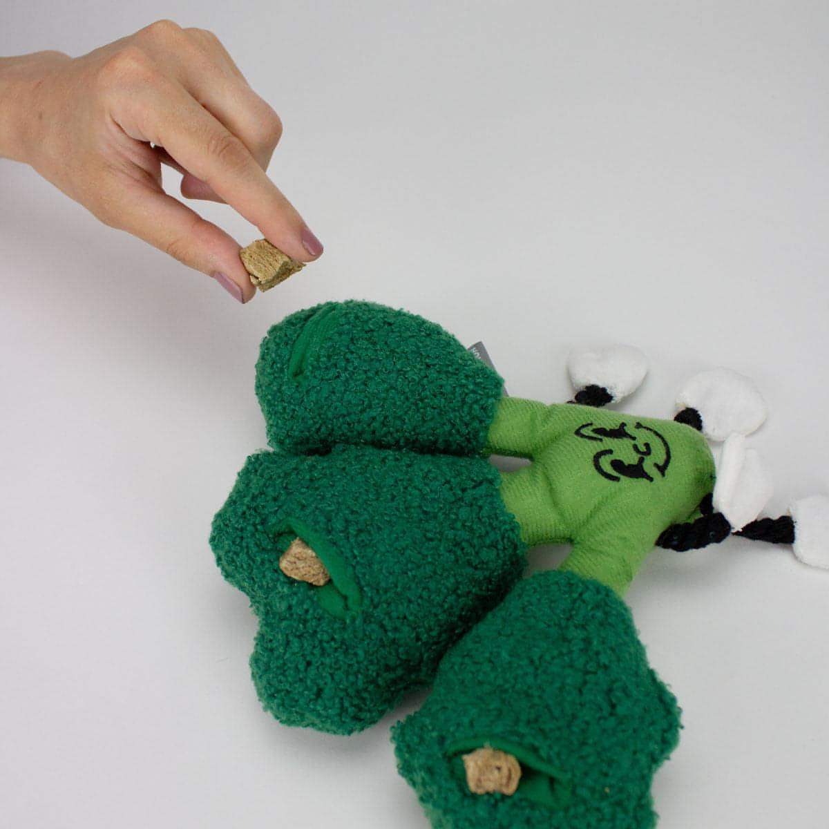The "Eat Your Greens" Broccoli Plush Dog Toy