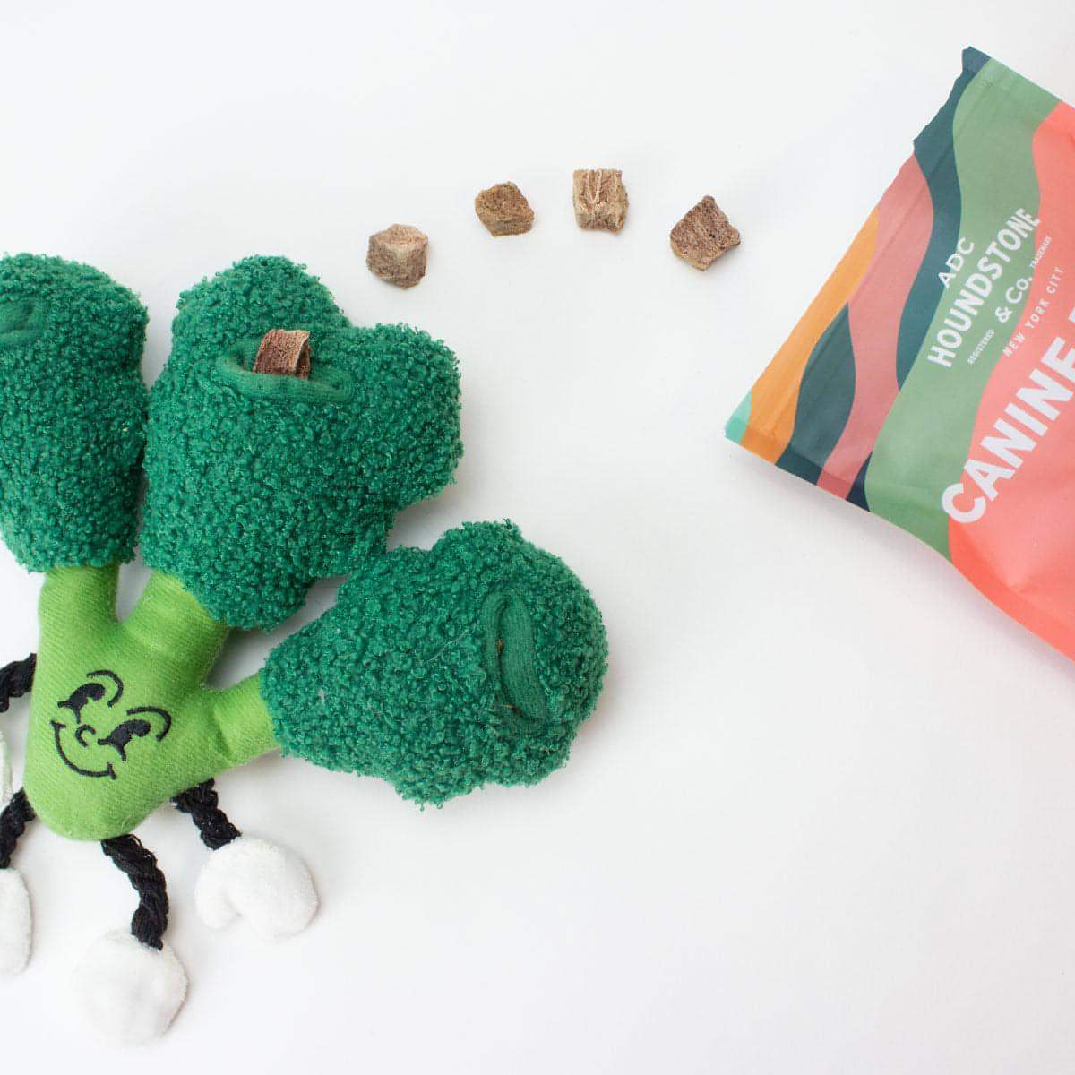 The "Eat Your Greens" Broccoli Plush Dog Toy