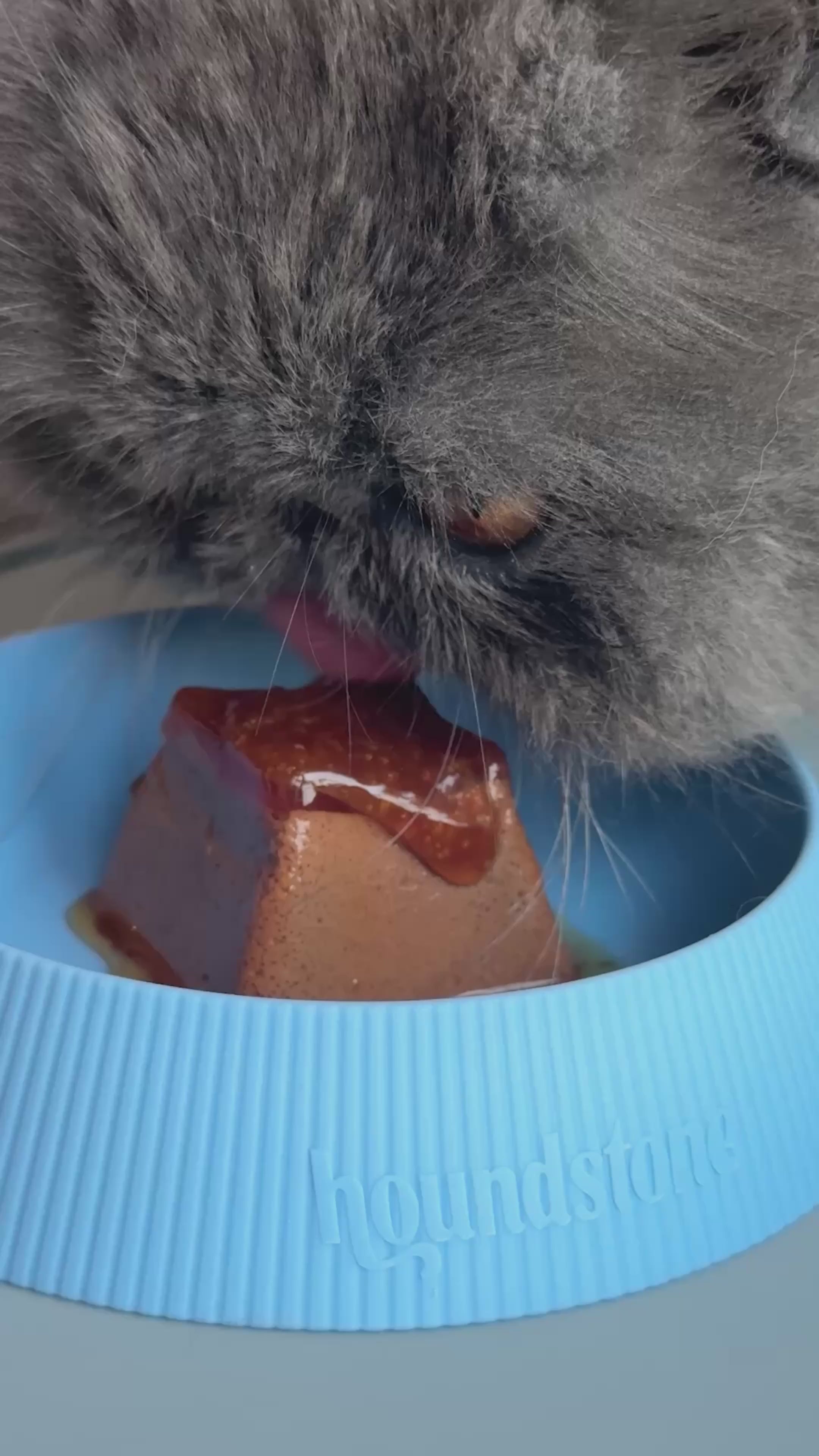 Load video: Food Grade Silicone Cat Bowl, Dishwasher Safe, Charcoal