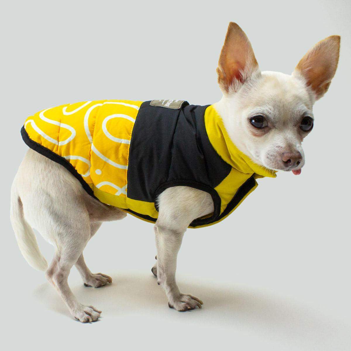 Reversible Dog Puffer Vest - "Sunny Side Up" - Soft Velcro Closure