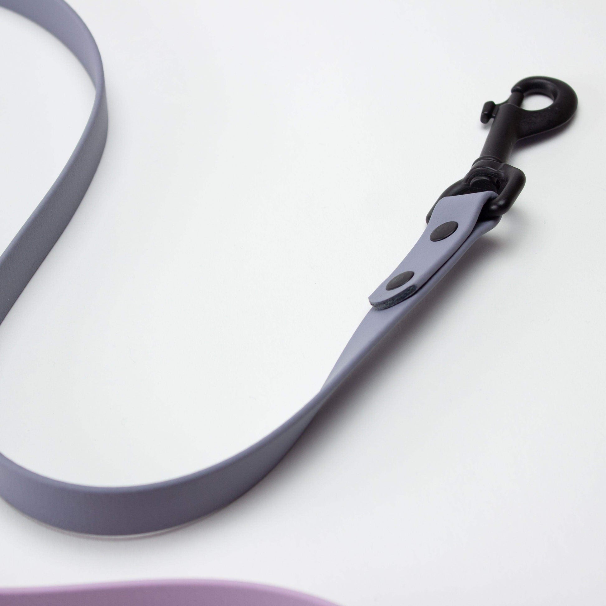 Black gray and violet dog leash